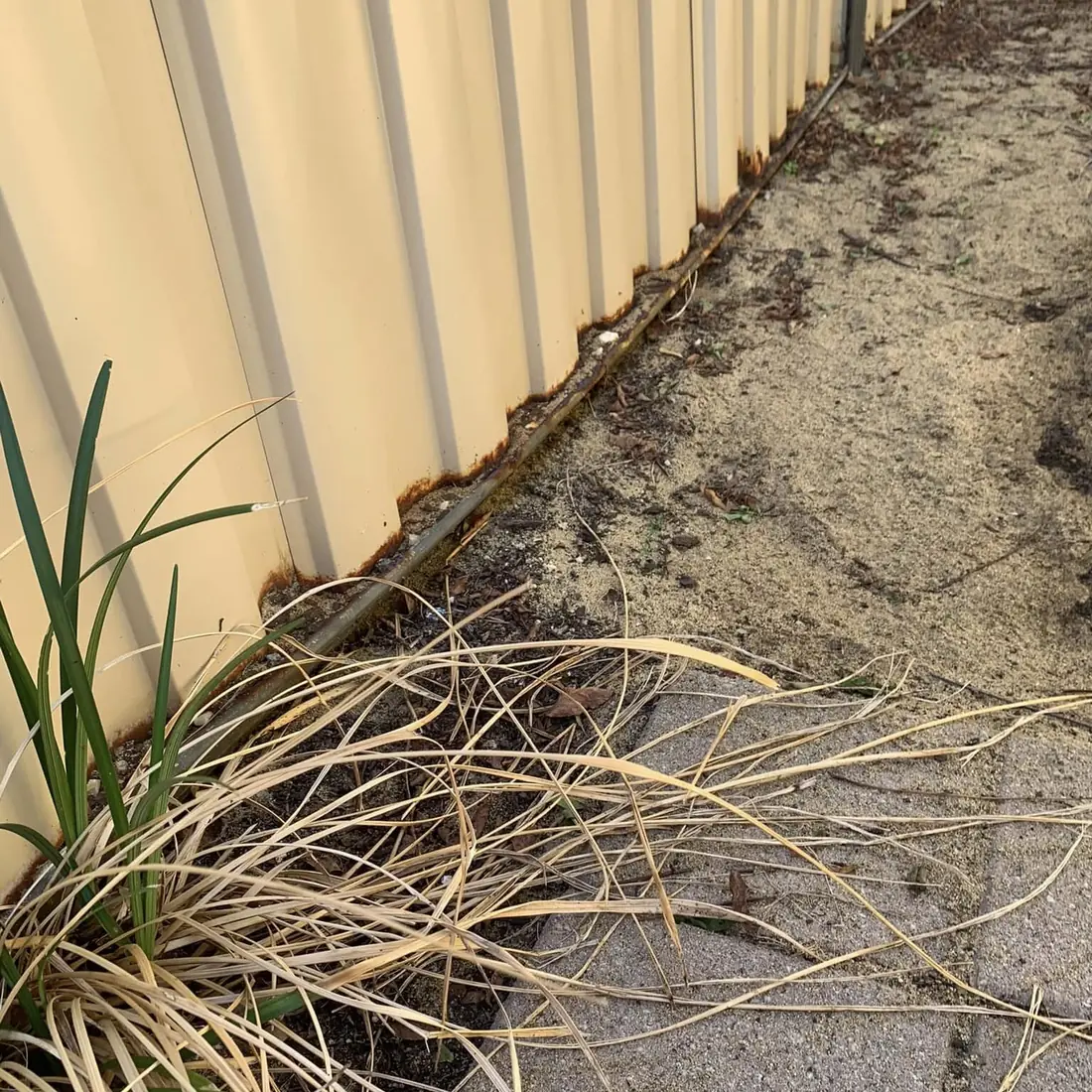 Cream Colorbond fence along a sandy side strip